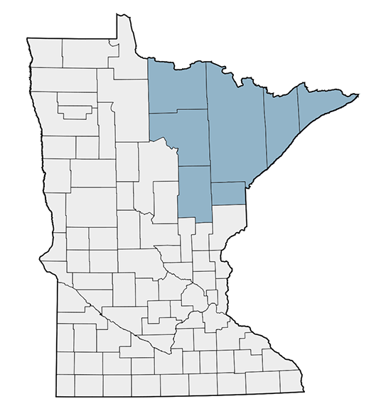 Northeast Minnesota Map