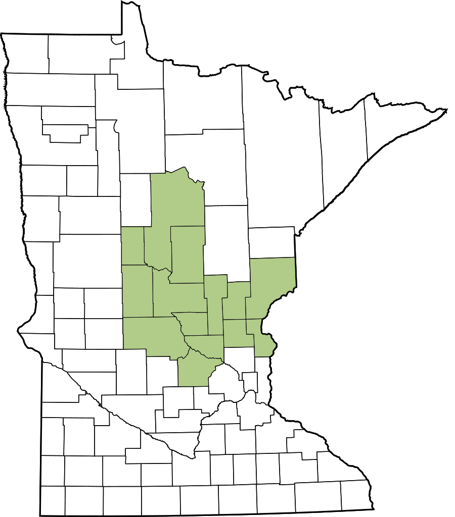 A map of Minnesota with the Central region highlighted