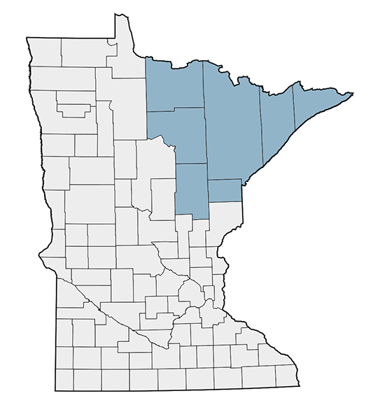 A map of Minnesota with the Northeast region highlighted