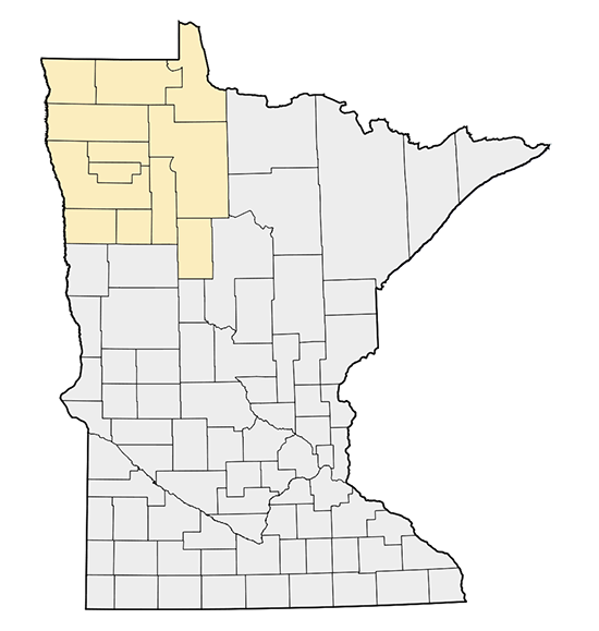 A map of Minnesota with the Northwest region highlighted
